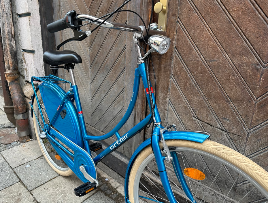 Orlter Van Dyck 28" Hollandrad