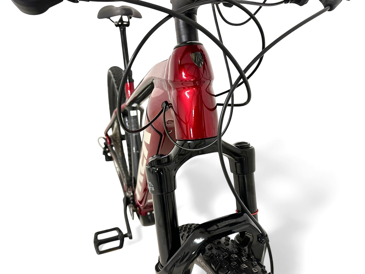 Trek Powerfly 7 Gen 4, E-Bike