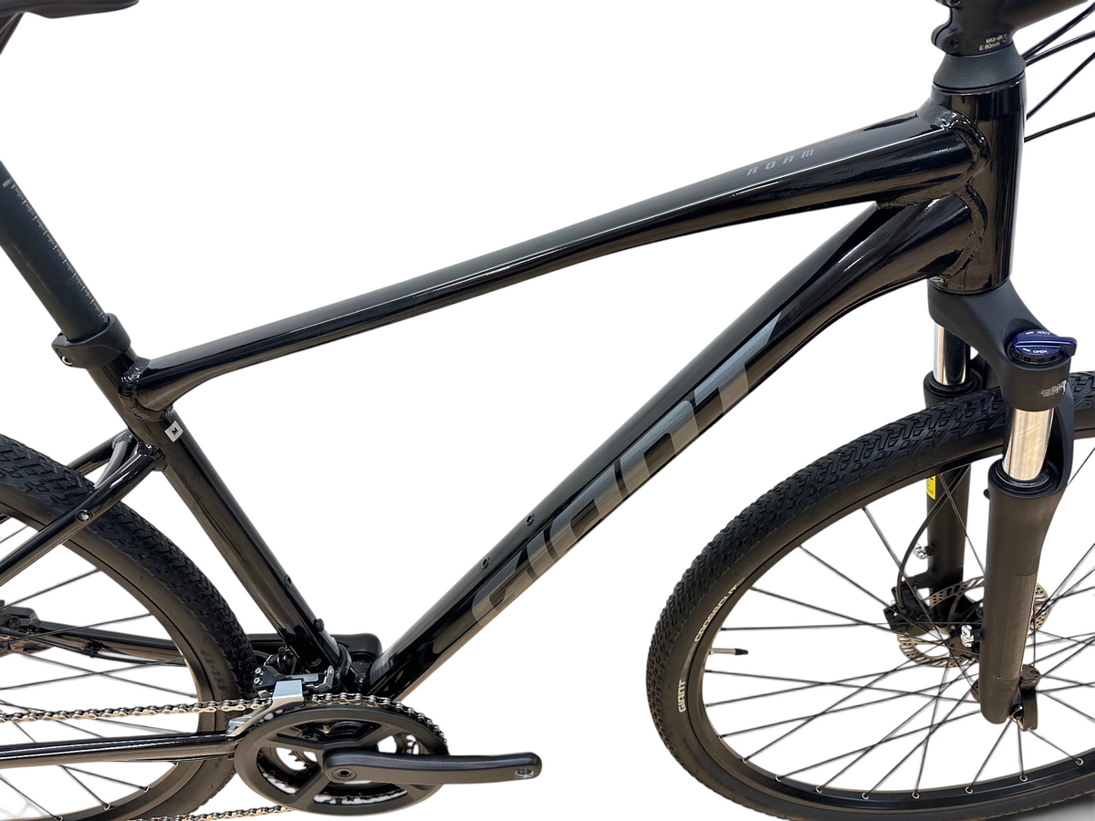 Giant Roam 2