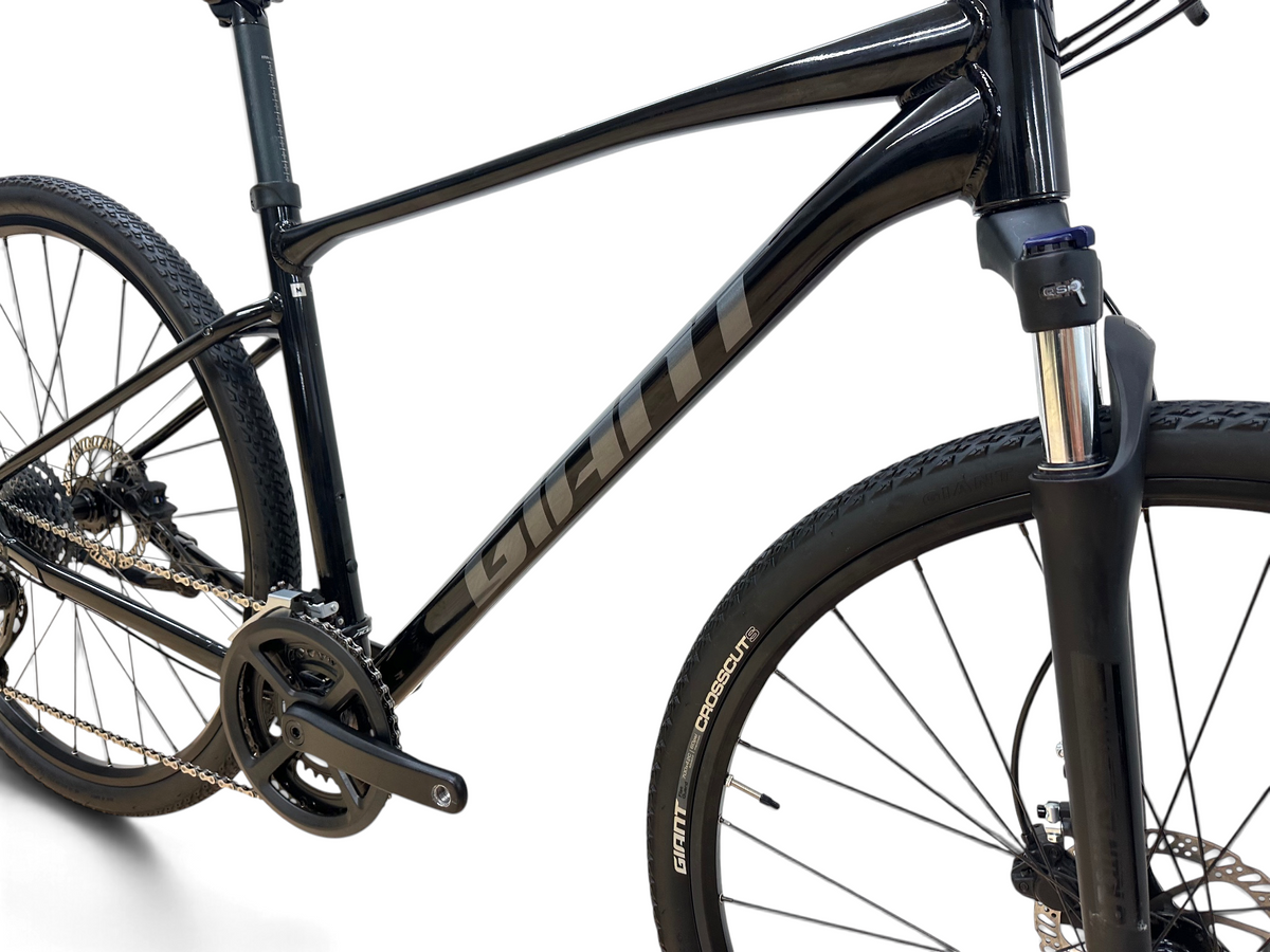 Giant Roam 2
