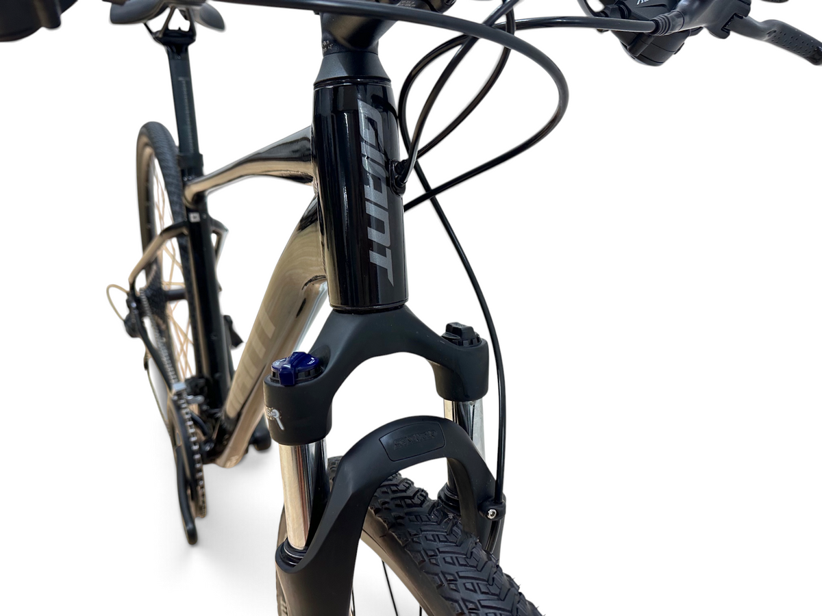 Giant Roam 2