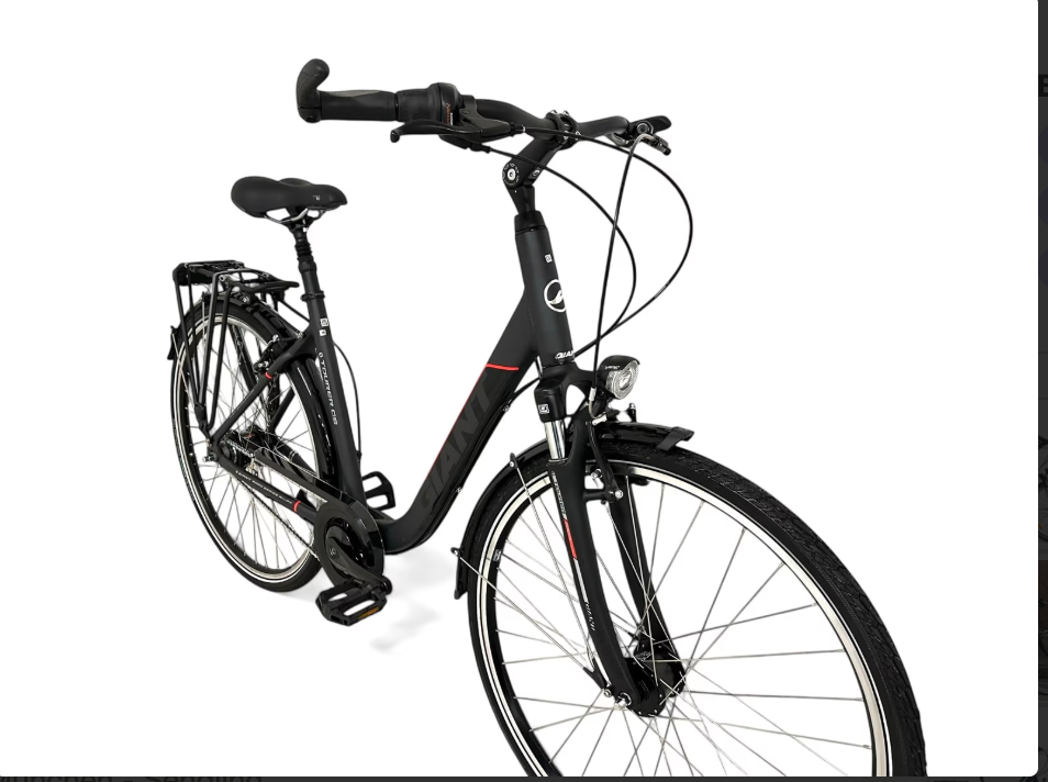 Giant Tourer LDS City-Bike | Shimano Nexus 8-Gang | Nabendynamo