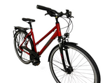 Morrison T20 Trekkingrad 28"