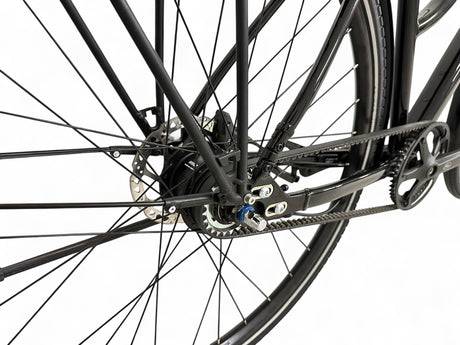 Diamant 247 trapeze trekking bike