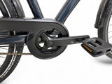Pegasus Premio SL Disc 8 Anniversary