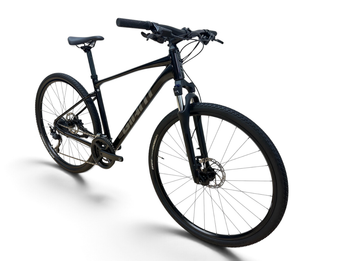 Giant Roam 2