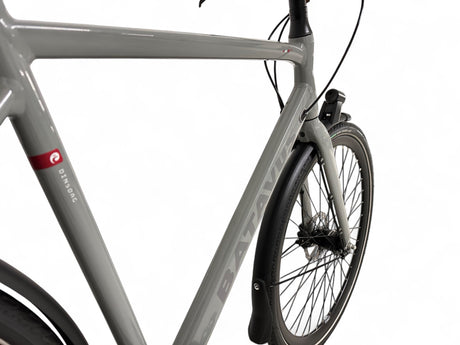 Batavus Dinsdag Exclusive trekking bike