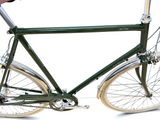 Gazelle Van Stael