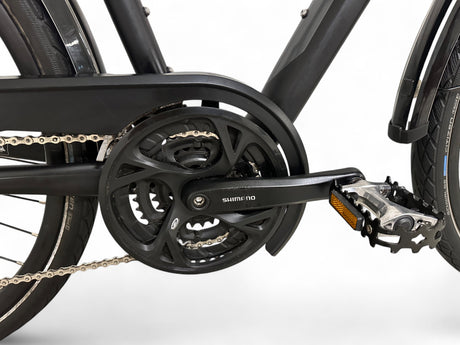 Pegasus Strong SL 27 trekking bike