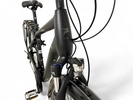 Pegasus Strong SL 27 trekking bike