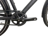 Falter U 8.0 Alfine 11 Trekkingrad