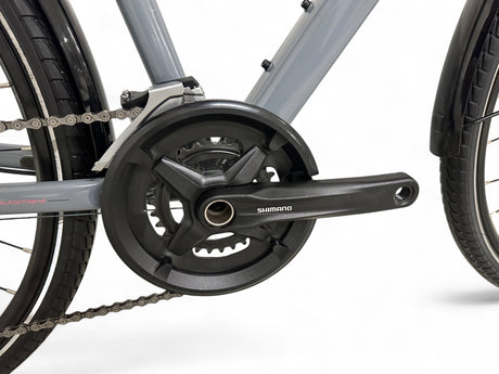 Diamant Elan Deluxe women's trekking bike