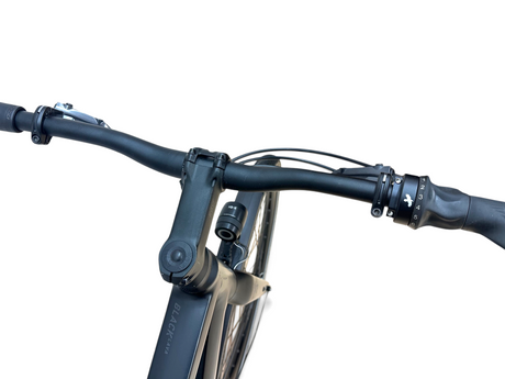 Rose Black Lava 3 Rohloff