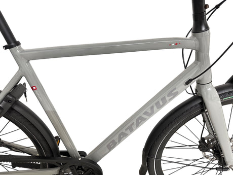 Batavus Dinsdag Exclusive trekking bike