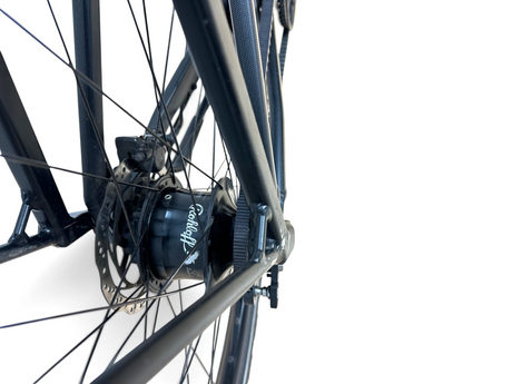 Rose Black Lava 3 Rohloff