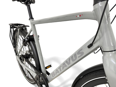 Batavus Dinsdag Exclusive trekking bike