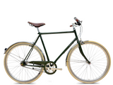 Gazelle Van Stael