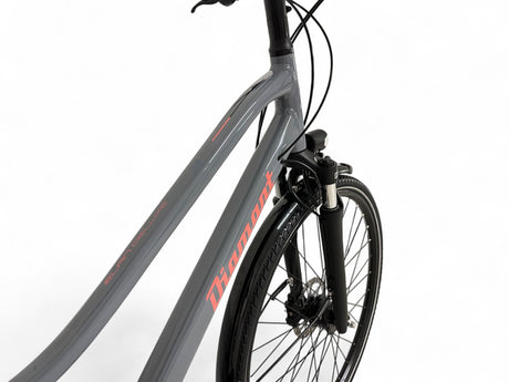 Diamant Elan Deluxe women's trekking bike