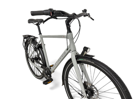 Batavus Dinsdag Exclusive trekking bike