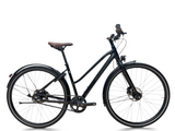 Diamant 247 Trapez Trekkingrad