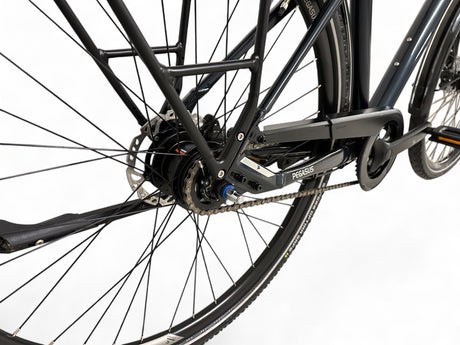 Pegasus Premio SL Disc 8 Anniversary