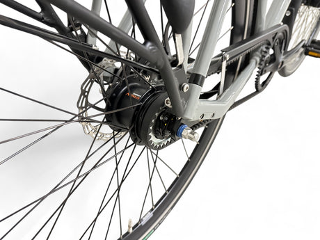 Batavus Dinsdag Exclusive Trekkingrad