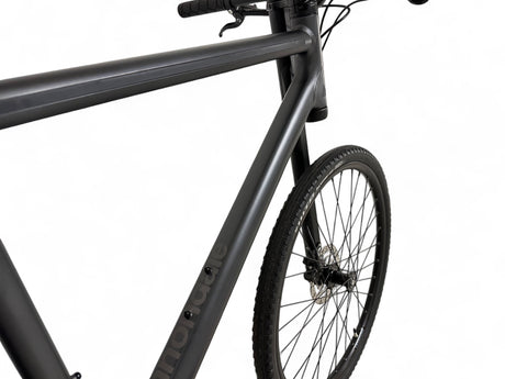 Cannondale Bad Boy 1 urban bike