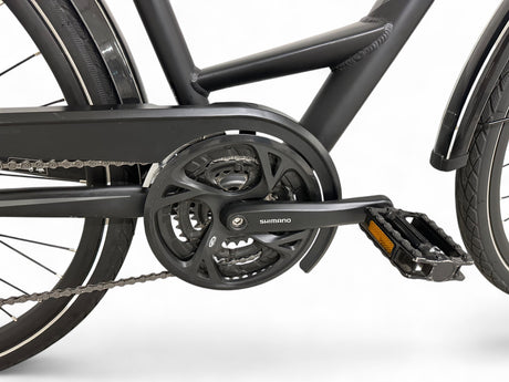 Pegasus Strog SL 27 Wave trekking bike